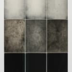 Alison Rossiter, Semblance, Man Ray Tapestry, (Mimosa, Radiotyp, manufactured ca. 1930s, processed 2023), 2025