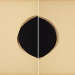 Alison Rossiter, Semblance, Man Ray Tapestry, (Mimosa, Radiotyp, manufactured ca. 1930s, processed 2023), 2025