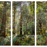 Sarah Anne Johnson, Beautiful Day, 2025