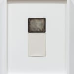 Alison Rossiter, Semblance, Man Ray Tapestry, (Mimosa, Radiotyp, manufactured ca. 1930s, processed 2023), 2025