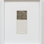 Alison Rossiter, Semblance, Man Ray Tapestry, (Mimosa, Radiotyp, manufactured ca. 1930s, processed 2023), 2025