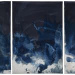 Meghann Riepenhoff, Littoral Drift #970 (Fay Bainbridge Beach, WA 03.06.18, Eleven Waves, Ferry Current), 2018