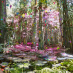 Sarah Anne Johnson, Beautiful Day, 2025