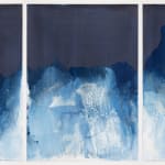 Meghann Riepenhoff, Waters of Oceania: FEMA - 4724 - DR (Ecological Succession Day Twenty - Three, Maui, HI, 09.08.2023), 2023