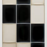 Alison Rossiter, Semblance, Man Ray Tapestry, (Mimosa, Radiotyp, manufactured ca. 1930s, processed 2023), 2025