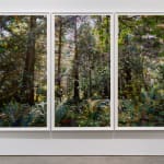 Sarah Anne Johnson, Beautiful Day, 2025