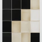 Alison Rossiter, Semblance, Man Ray Tapestry, (Mimosa, Radiotyp, manufactured ca. 1930s, processed 2023), 2025