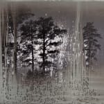 Matthew Brandt, AgXSB2027 (San Bernardino Forest), 2023