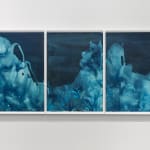 Meghann Riepenhoff, Ice #142 (31-43℉, Springridge Ephemeral Spring, WA, 01.09.21), 2021