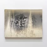 Matthew Brandt, AgXSB2027 (San Bernardino Forest), 2023