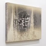 Matthew Brandt, AgXSB2027 (San Bernardino Forest), 2023