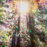 Sarah Anne Johnson, Beautiful Day, 2025