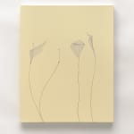 Beatrice Pediconi, Scomposizione #8, 2006