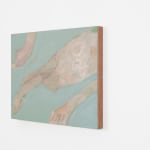Beatrice Meoni, Parrot, 2017