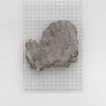 Fabrizio Prevedello, Fiore (199 b) 2/3, 2017-2022