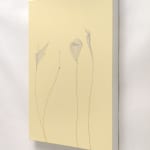 Beatrice Pediconi, Scomposizione #8, 2006