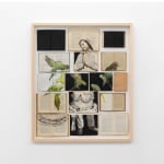 Ekaterina Panikanova, Un, due, tre, fuoco, 2012