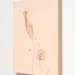 Beatrice Pediconi, Scomposizione #8, 2006