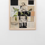 Ekaterina Panikanova, Un, due, tre, fuoco, 2012
