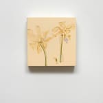 Beatrice Pediconi, Scomposizione #8, 2006