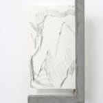 Fabrizio Prevedello, Fiore (199 b) 2/3, 2017-2022