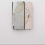 Fabrizio Prevedello, Fiore (199 b) 2/3, 2017-2022