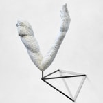 Fabrizio Prevedello, Fiore (199 b) 2/3, 2017-2022