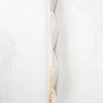 Fabrizio Prevedello, Fiore (199 b) 2/3, 2017-2022