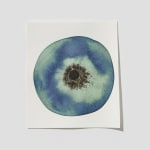 Manuel Amorim, Serie "Eye(s)" Bleu, 2007