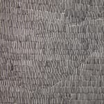 Edie Tsong, Crossing Over - Installation View, 2022