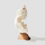 Debra Baxter, Wanting is Easier than Having, 2011