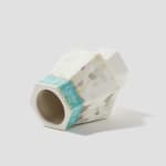 Tammie Rubin, Citizen Series: Chicago Home No.1, 2022