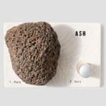 Bunny Tobias, Beauty is in the Eye of the Bee Holder, 2022