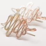 Melanie Brauner, Oyster Bed Earrings, 2022