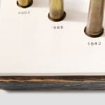 Bunny Tobias, Beauty is in the Eye of the Bee Holder, 2022