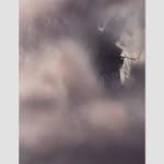 Katrina Bello, Lupain Series 8, 2023-2025