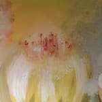 Sheila Scholes, In Paradisum 5, 2024