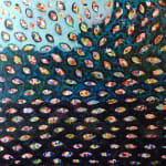 Orna Schneerson Pascal, Fish Eyes