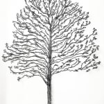 Imogen Morris, Princess Tree, St Peter’s Square, Manchester, 2025