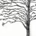 Imogen Morris, Princess Tree, St Peter’s Square, Manchester, 2025