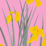 Alex Katz, Sophie, 2012