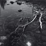 Ansel Adams, Branch and Creek, 1947
