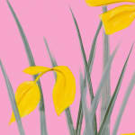 Alex Katz, Sophie, 2012
