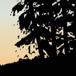 Alex Katz, Sophie, 2012