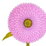 Joy Taylor, Sunflower, 2022