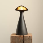 Manchot Table Lamp