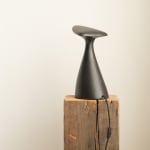 Manchot Table Lamp