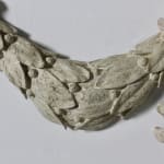 Compton Pottery Cobra Sundial
