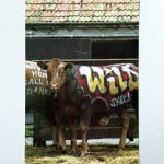Banksy, 'WILD STYLE' ('TURF WAR' EXHIBITION PROMO CARD), 2003