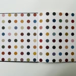 Damien Hirst, Way to Understand (from 'The Currency'), 2016